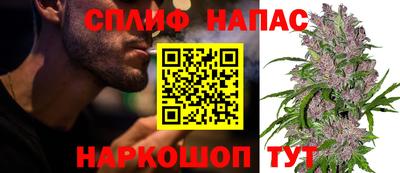 амф Бийск