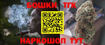 МДПВ Камень-на-Оби
