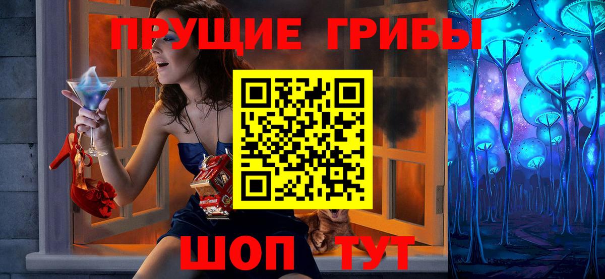 Псилоцибиновые грибы Psilocybe Карталы