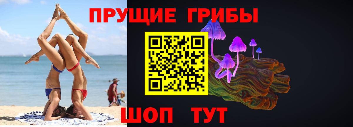 Псилоцибиновые грибы MAGIC MUSHROOMS  Вход с VPN  Карталы 