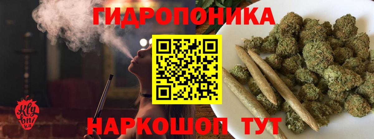 Марихуана гибрид  Марихуана Bruce Banner  Вход с VPN  Бошки марихуана индика  Карталы  Марихуана сатива 
